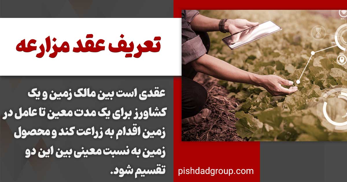 عقد مزارعه چیست؟ 2 تعریف عقد مزارعه