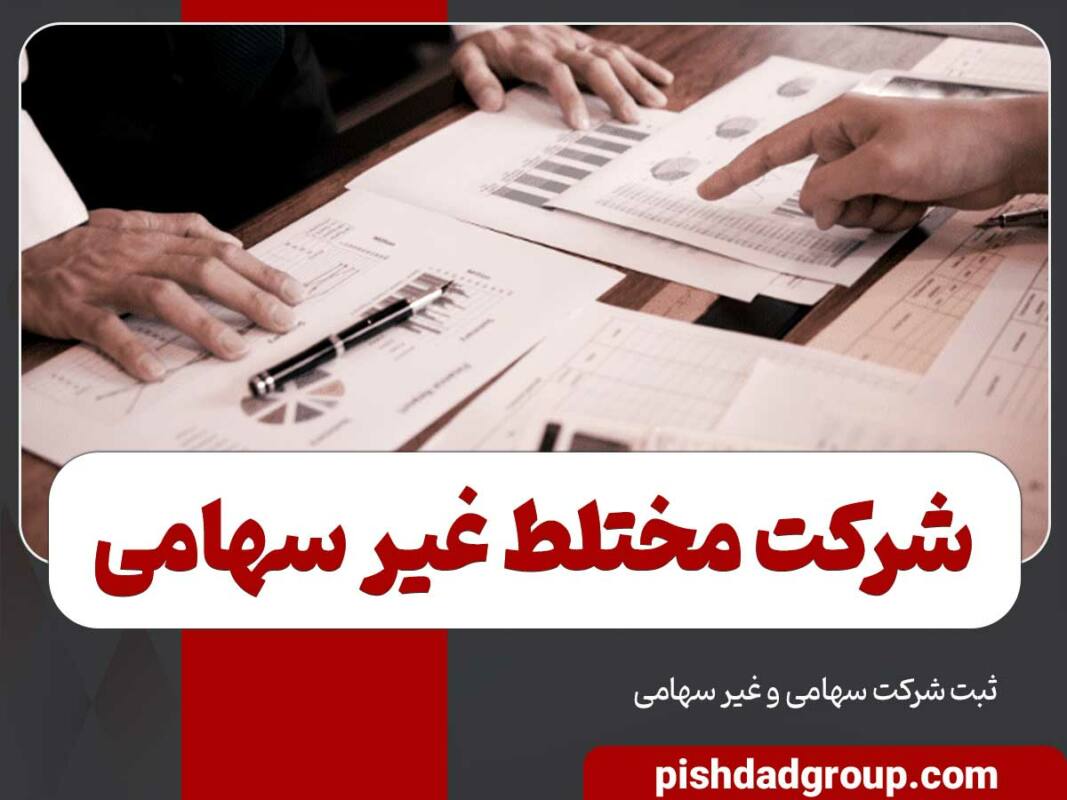 شرکت مختلط غیر سهامی چیست 3 شرکت مختلط غیر سهامی چیست - 3