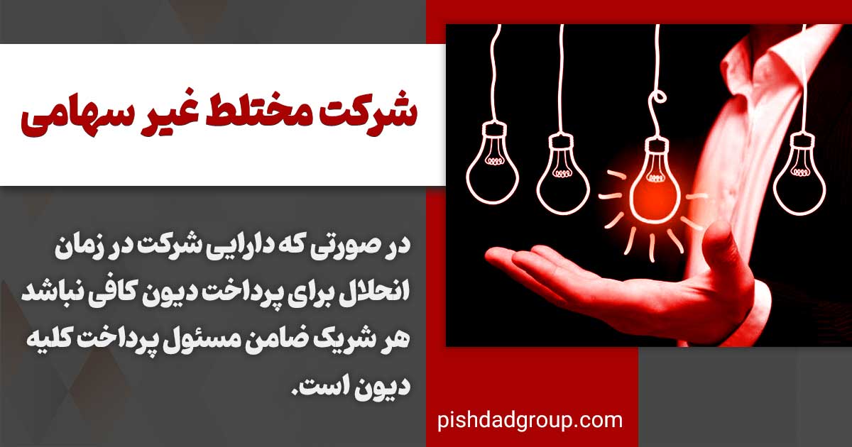 تعریف شرکت مختلط غیر سهامی