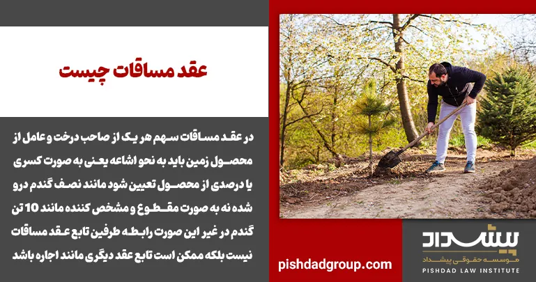 عقد مساقات چیست